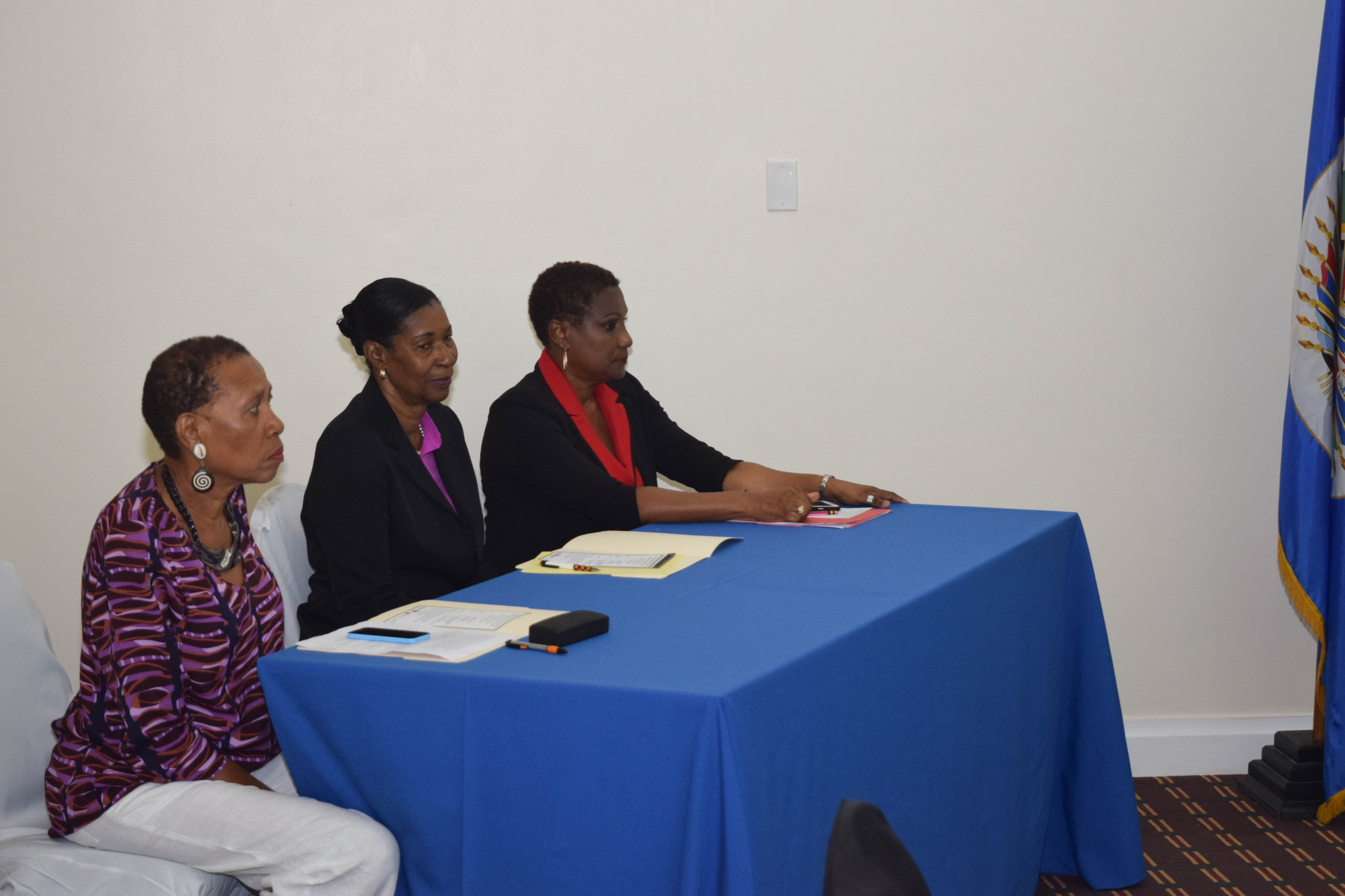 OAS Sponsored Artisanal Producers Workshop - October 25, 2018 - Basseterre, St Kitts